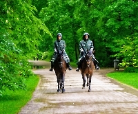 День 5 - Мюнхен_13