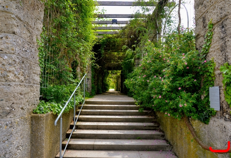 День 6 - Мюнхен_7