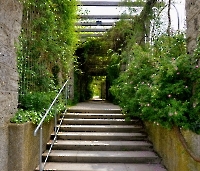 День 6 - Мюнхен_7