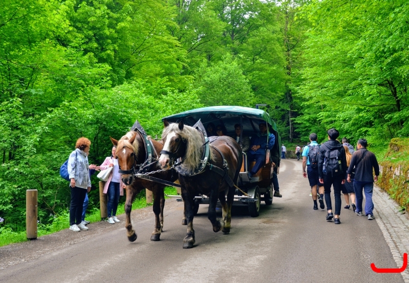 День 7 - Замки_5