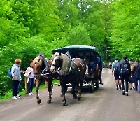 День 7 - Замки_5