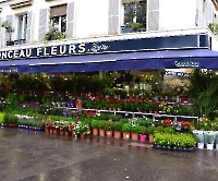 Париж, прибытие и прогулка к Эйфелевой башне_3