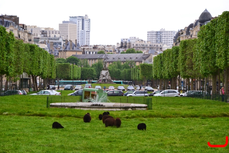 Париж, прибытие и прогулка к Эйфелевой башне_16