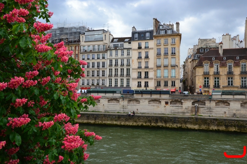 Люксембургский сад, Сорбона, Собор Парижской Богоматери и Монпарнас_17