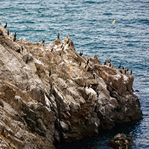 Созополь, Остров Св.Ивана Созополь, Остров Св.Ивана