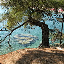 Тасос, день 5 Тасос, день 5