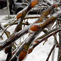 Вот такая у нас зима