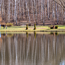 Ботанический сад