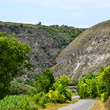 Старый Орхей