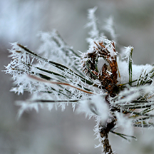 В сочельник