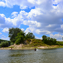 Остров на Днестре (Кошница)