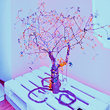 Выставка ёлок