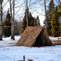 Ботанический сад зимой