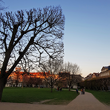 Копенгаген, день 4 Копенгаген, день 4