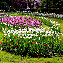 Краков, день 2-Самостоятельная прогулка Краков, день 2-Самостоятельная прогулка