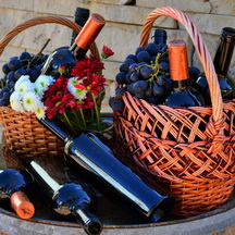 Винария Пуркары