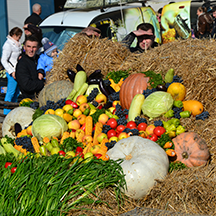 День вина в Гагаузии