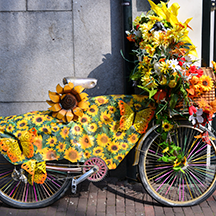 Нидерланды, Амстердам