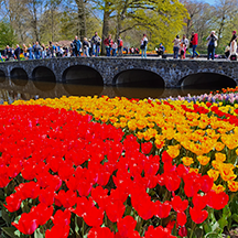 Нидерланды, Королевский парк Кёкенхоф