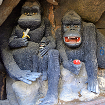 Чамьюва, 2021, Naturland